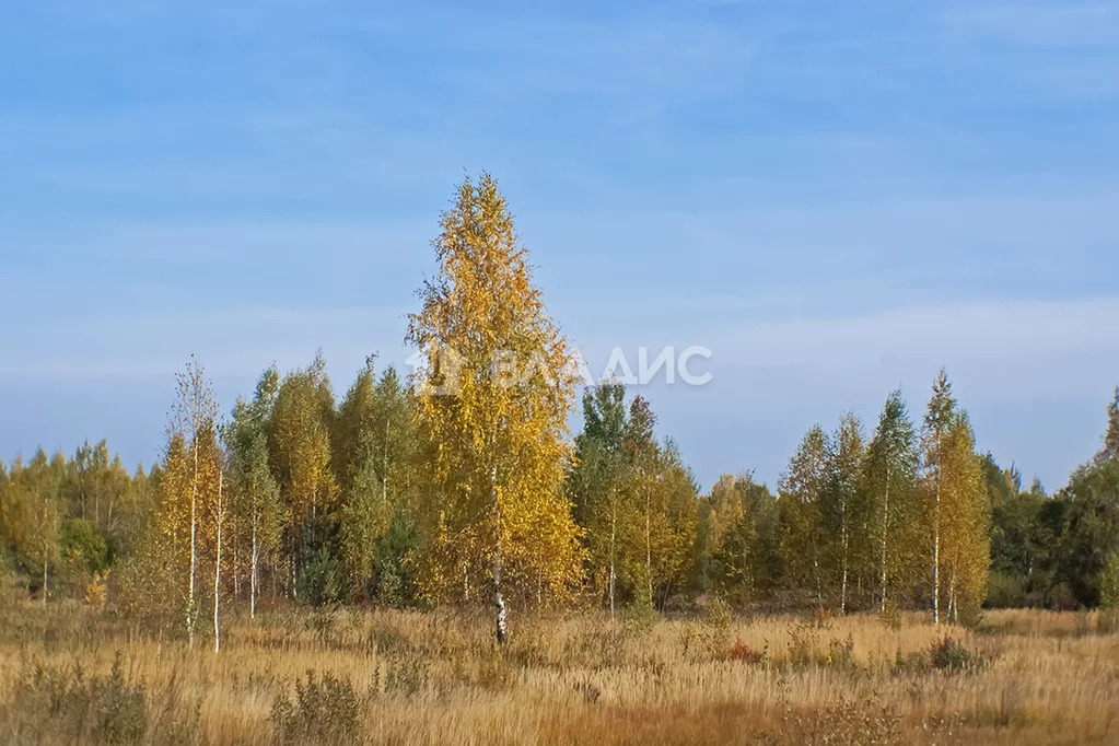 Гусь-Хрустальный район, село Колпь, земля на продажу - Фото 2