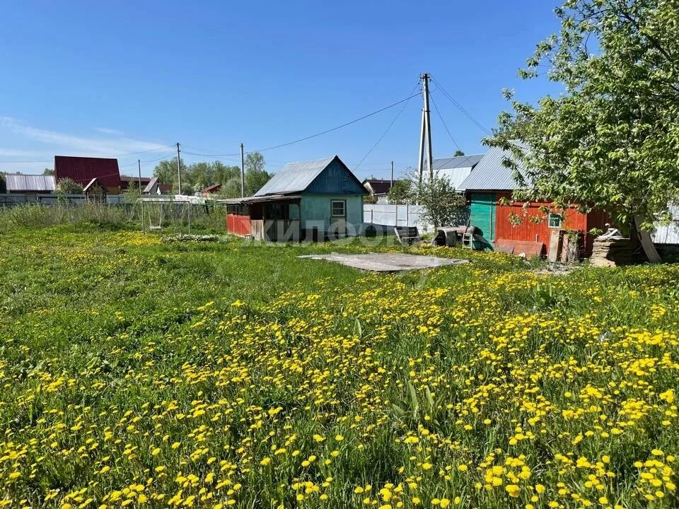 Продажа дома, Репьево, Тогучинский район - Фото 2