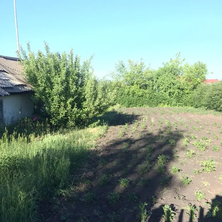 Купить Село Миасское Красноармейского Района