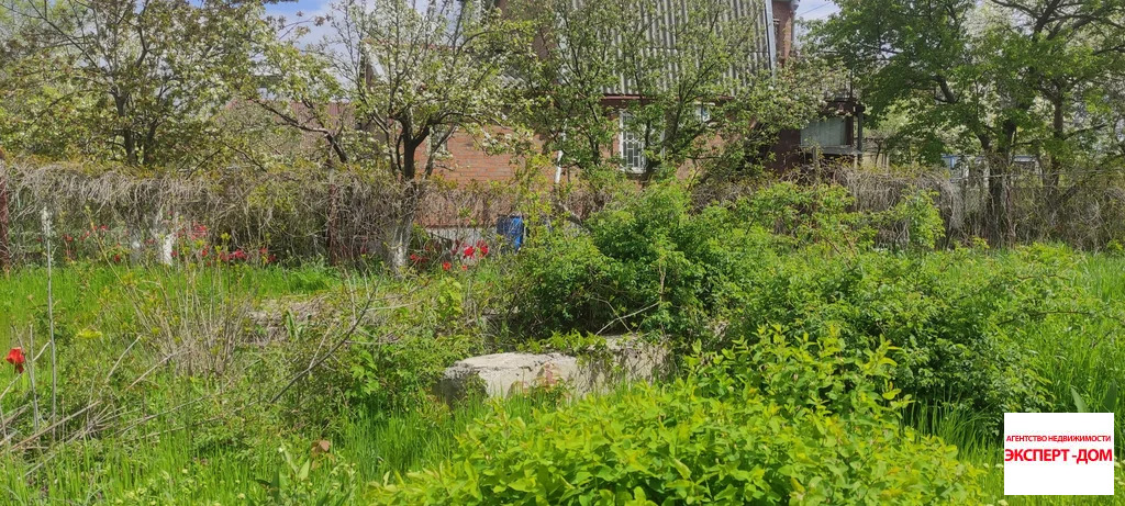 Продажа участка, Мержаново, Неклиновский район, Голубые ели сад - Фото 3