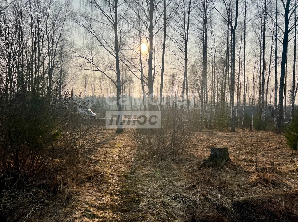 Продажа участка, Талдом, Талдомский район - Фото 3