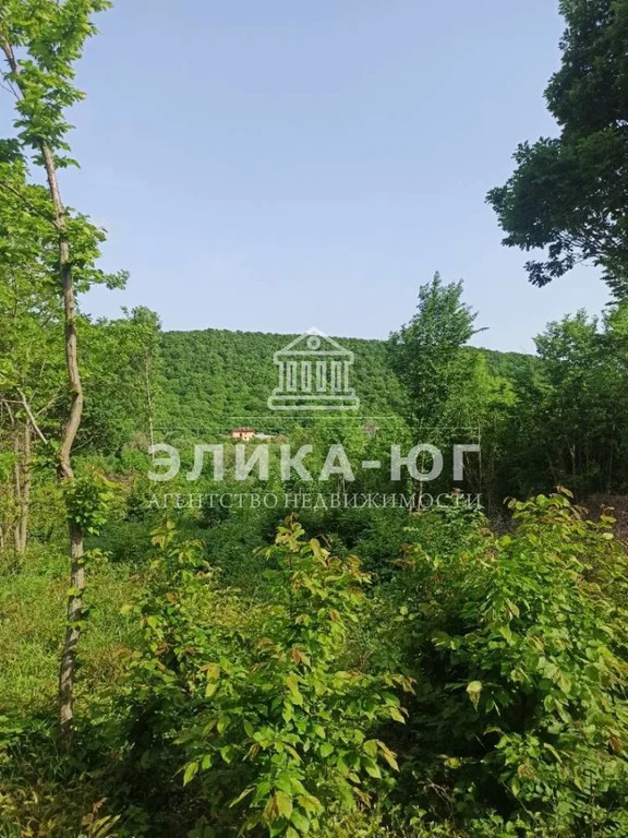 Продажа участка, Бжид, Туапсинский район, мкр. Юг - Фото 1
