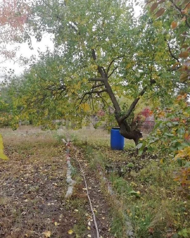 Продажа дома, Саратов, 3-й Пихтовый проезд - Фото 2