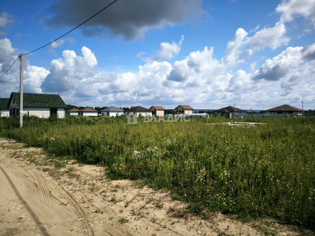 Собинский муниципальный округ, село Бабаево, Сельская улица,  земля на ... - Фото 1