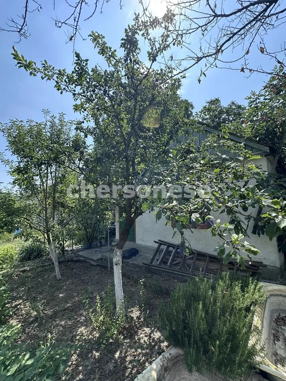 Продажа участка, Севастополь, территория СТ Ветеран - Фото 3