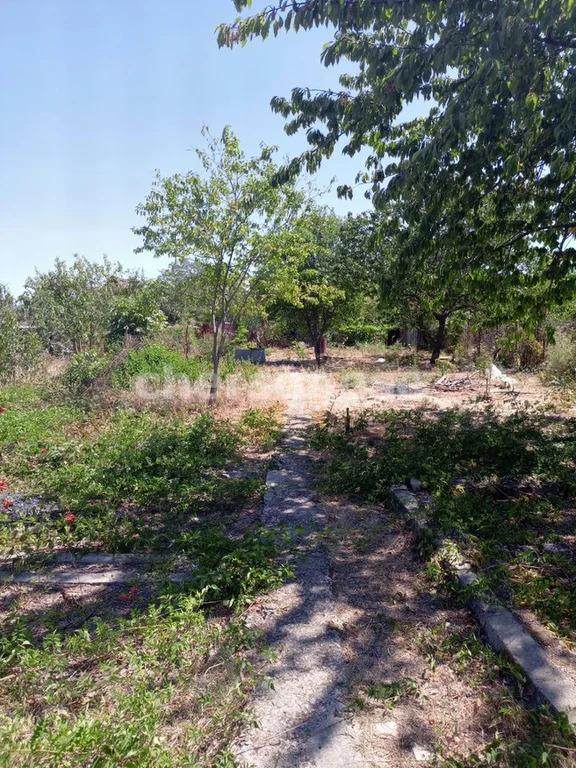 Продажа участка, Севастополь, территория СТ Бутон - Фото 18