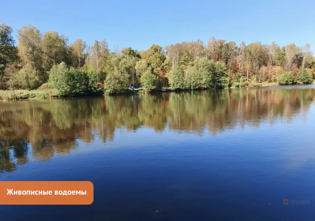 Продается земельный участок Жальское деревня - Фото 8