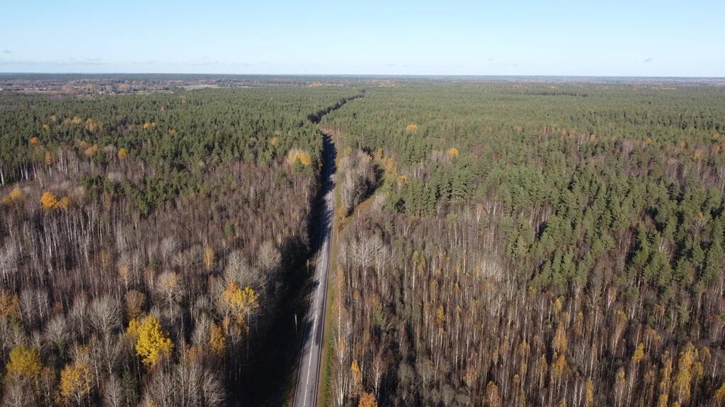 Продажа участка, Барышево, Выборгский район - Фото 16