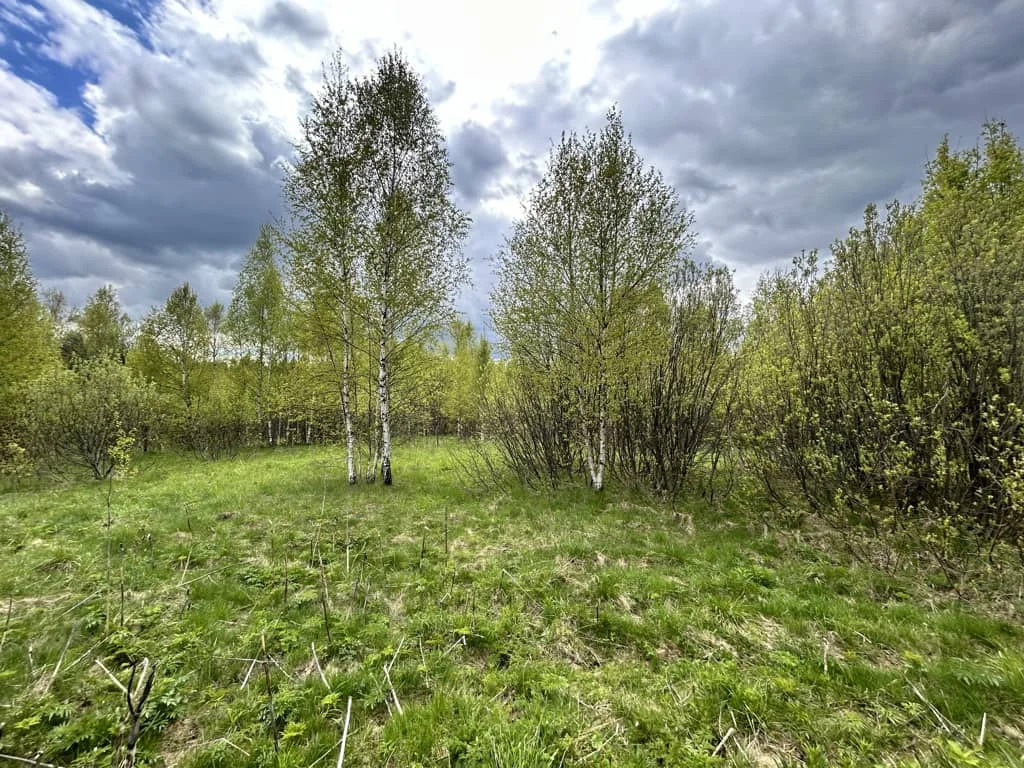 Продажа участка, Пески, Дмитровский район - Фото 5