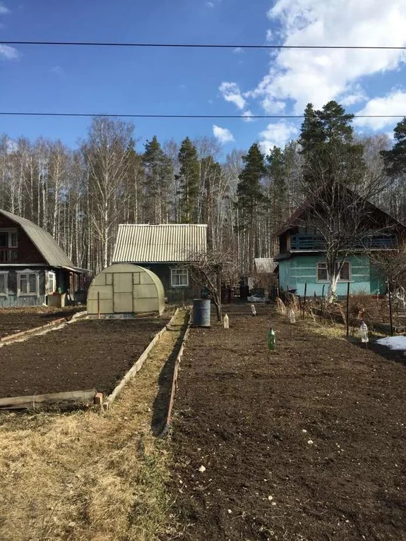 Купить участок в верхней пышме. СНТ сирень верхняя Пышма. СНТ Белоснежка 39. СНТ Белоснежка верхняя Пышма на карте. СНТ Белоснежка 39 фото.