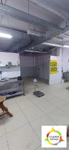 Подвальное помещение 170 м2 в небольшом торговом центре - Фото 9