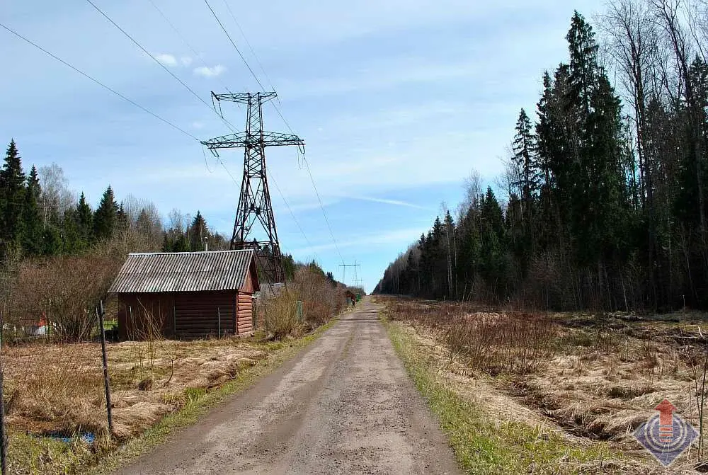 Участок у леса в СНТ Движенец, д. Савеловка, Наро-Фоминский район - Фото 10