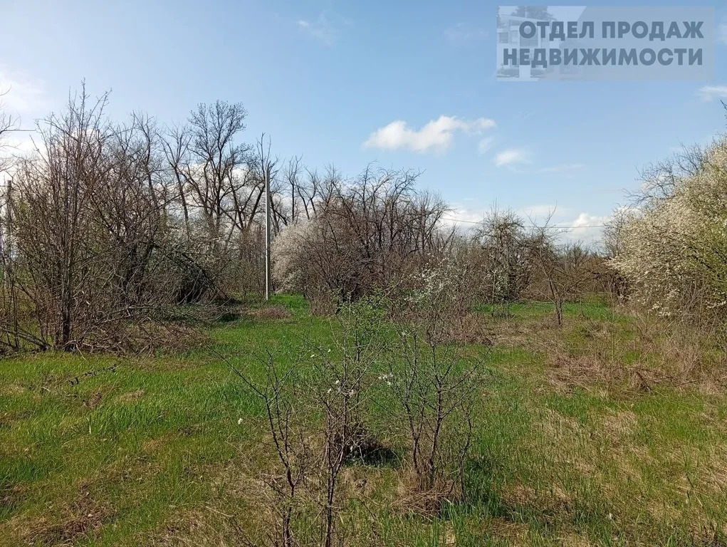 Участок на Озерках - Фото 4