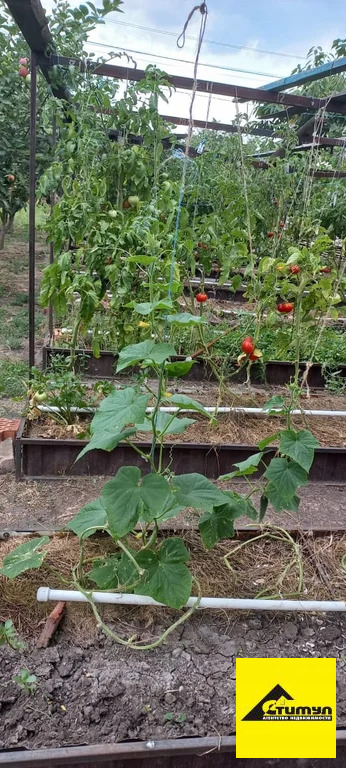 Продажа участка, Ейск, Ейский район, 12 - Фото 2