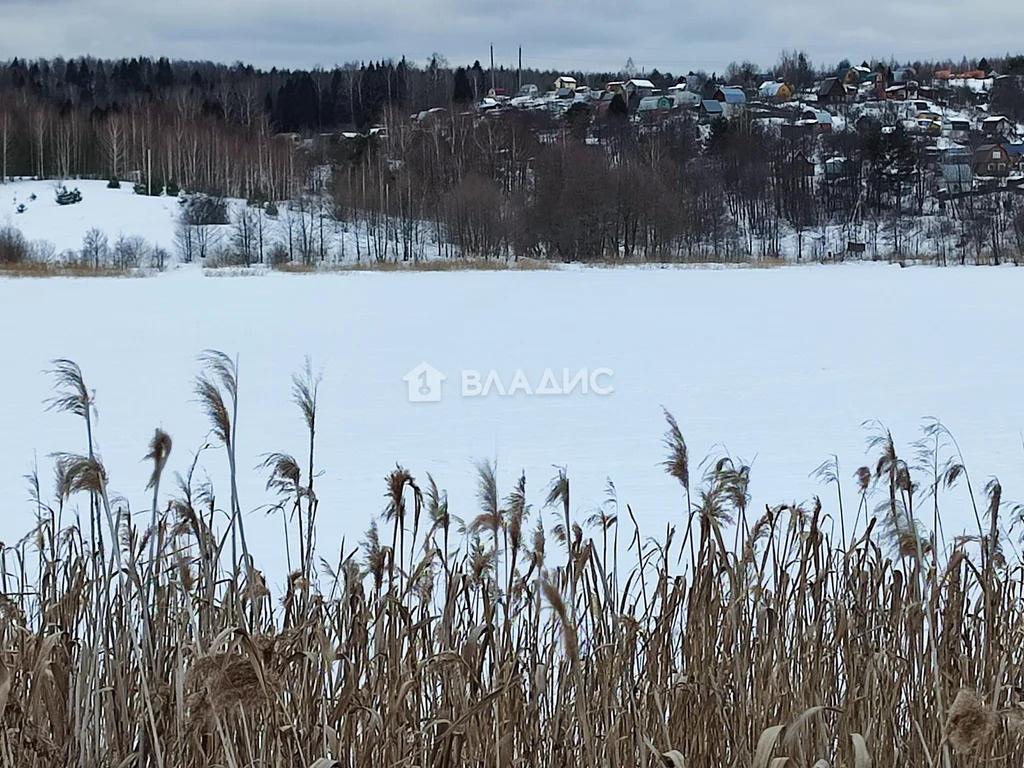 Судогодский район, деревня Кадыево,  земля на продажу - Фото 6