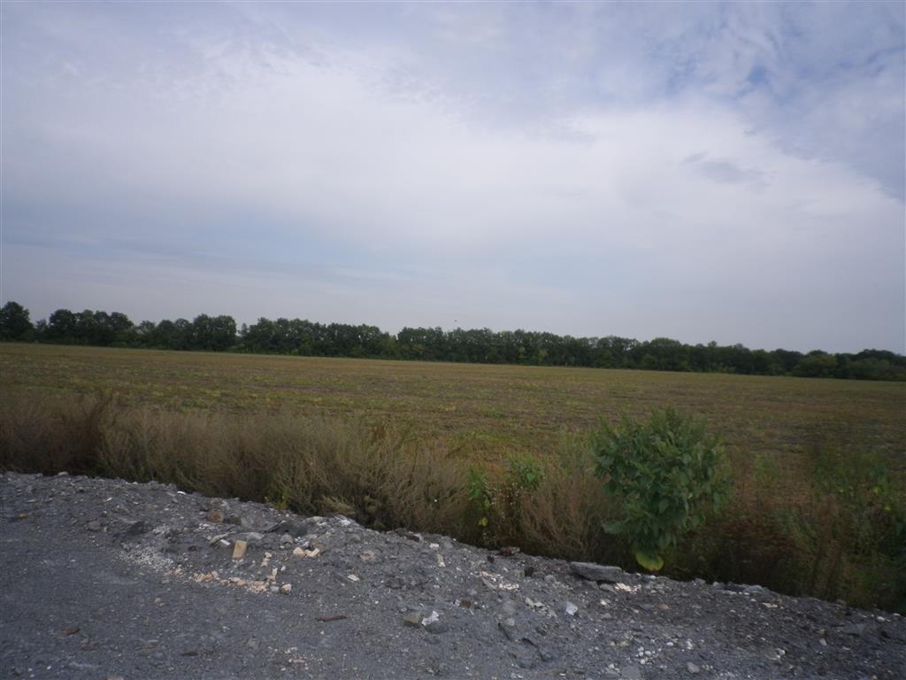 Липецкий районный судебный участок. Липецк улица космонавтов 24 мировой суд. Село николаевка липецкая область с кореневщино. 17 участок липецк. Ситовка липецк.