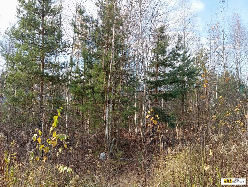 Продажа участка, Богородский г. о., СНТ Электрон - Фото 12