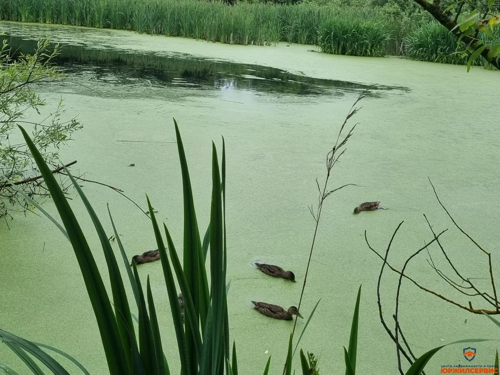 Продажа дома, Домодедово, Домодедово г. о., Московская обл - Фото 27