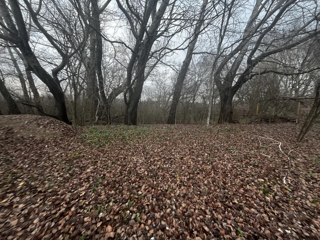 Продажа участка, Смоленская, Северский район, ул. Заречная - Фото 12