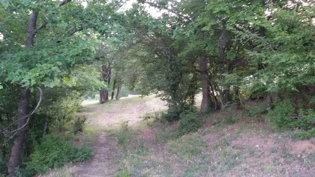 Видовой, Земельный участок в Бельбекской долине Крыма, АЙ-Петри - Фото 22
