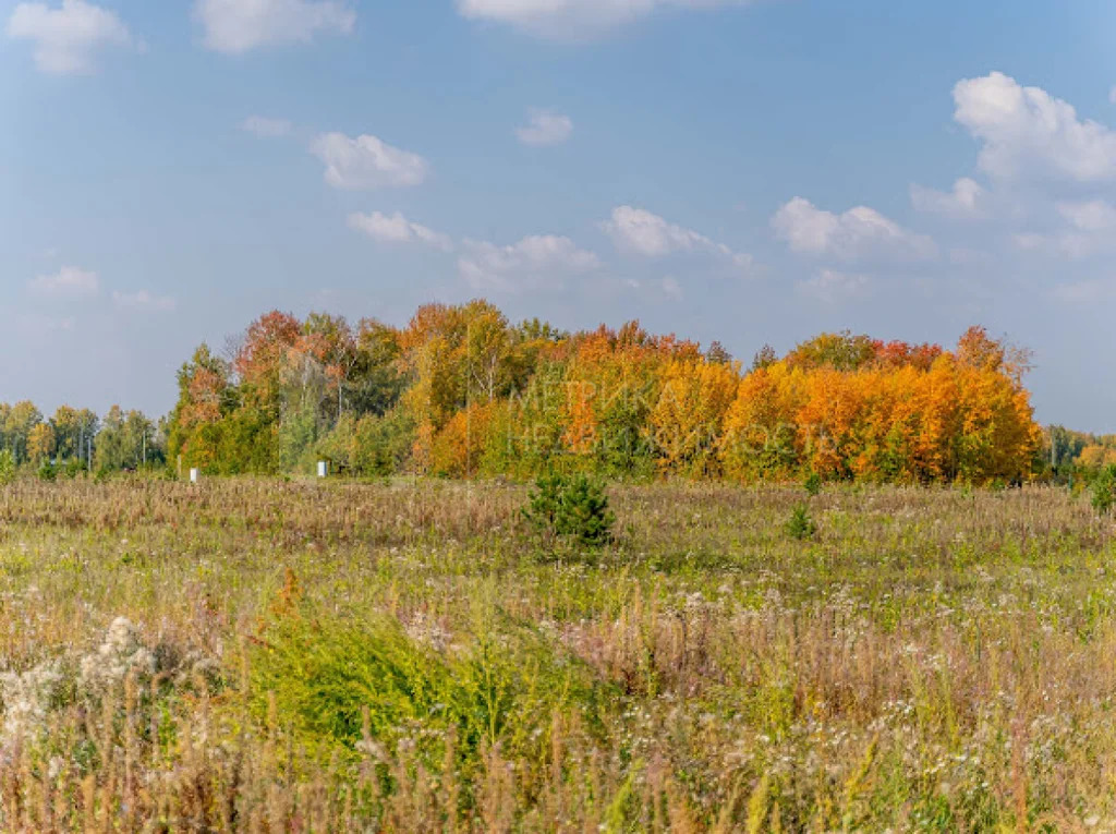 Продажа земельного участка, Тюмень, г Тюмень - Фото 2