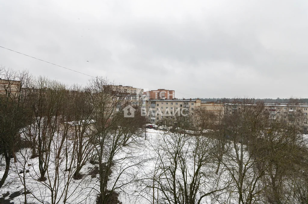 городской округ Пушкинский, Красноармейск, микрорайон Северный, д.10, ... - Фото 27