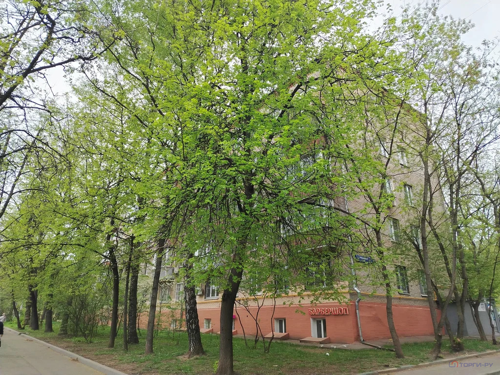 Продажа квартиры, 3-я Парковая улица - Фото 3