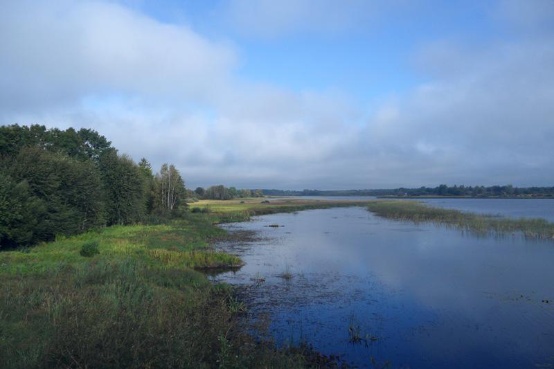 Продажа дома в Гдовском районе - Фото 4