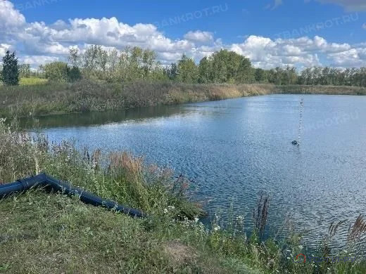 Продажа участка, Симбухово, Мокшанский район, ул. Школьная - Фото 4