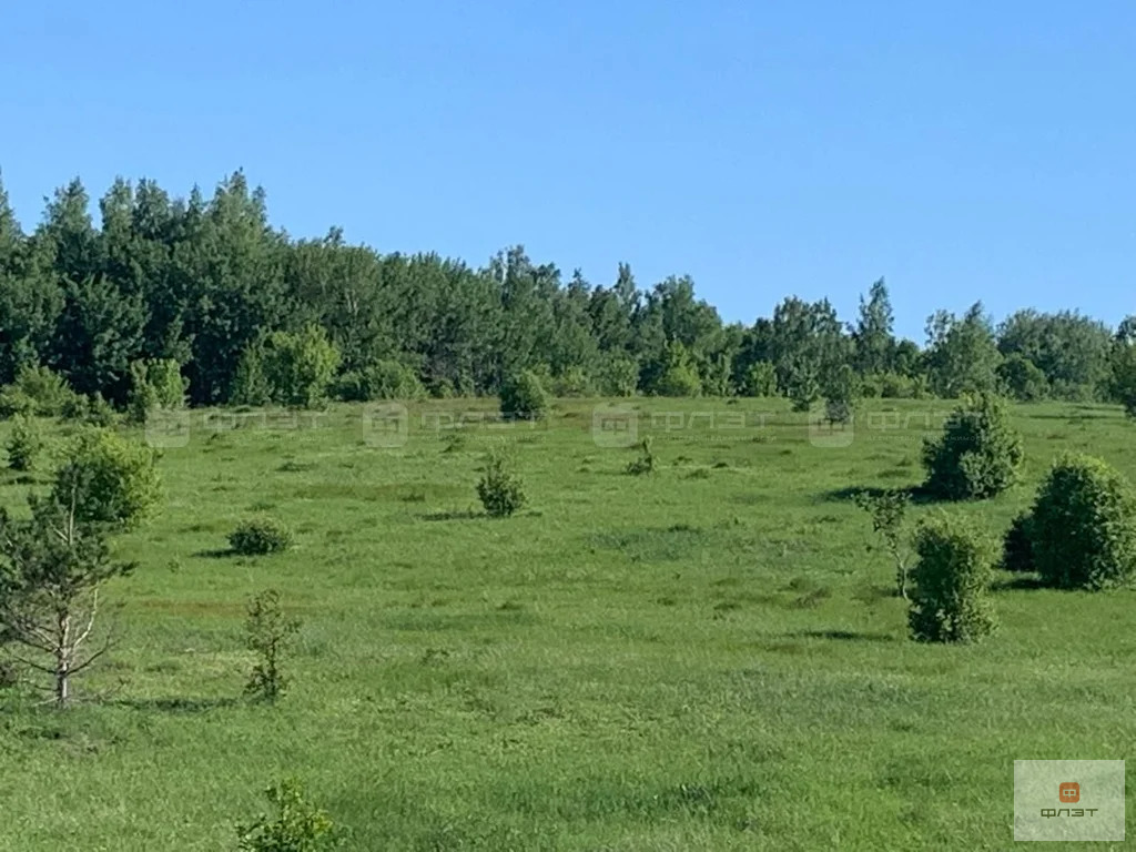 Продажа участка, Гребени, Верхнеуслонский район, ул. Нагорная - Фото 10