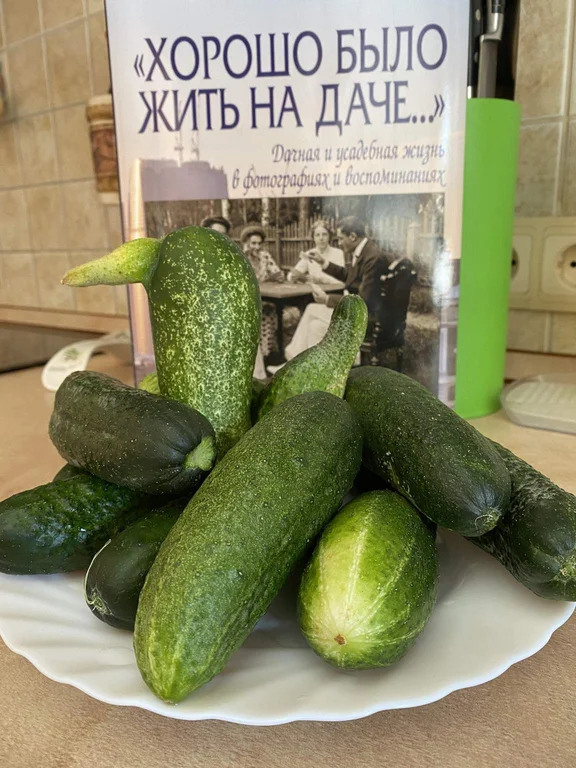 Коттедж 436 м2 на участке 36 сот. - Фото 1