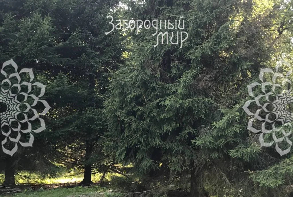 Продам участок, Новорижское шоссе, 25 км от МКАД - Фото 9