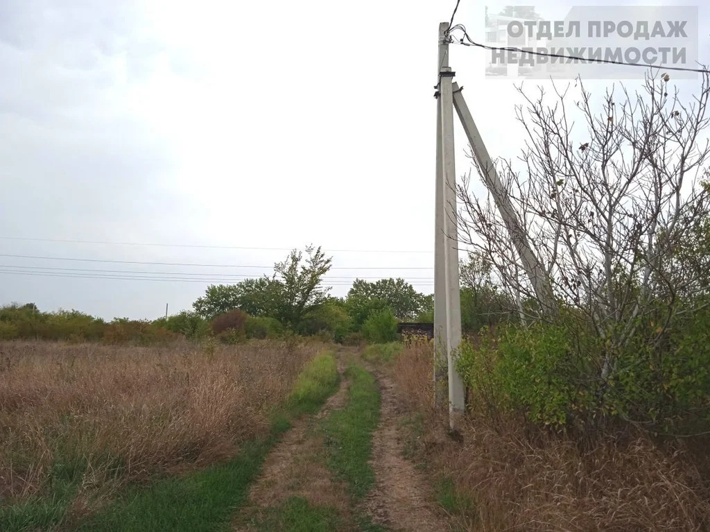 Дачный участок - Фото 4