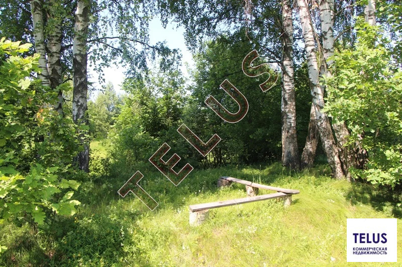 МО, Богородский г.о., с. Богослово, Земельный участок 7 га (ном. ... - Фото 20