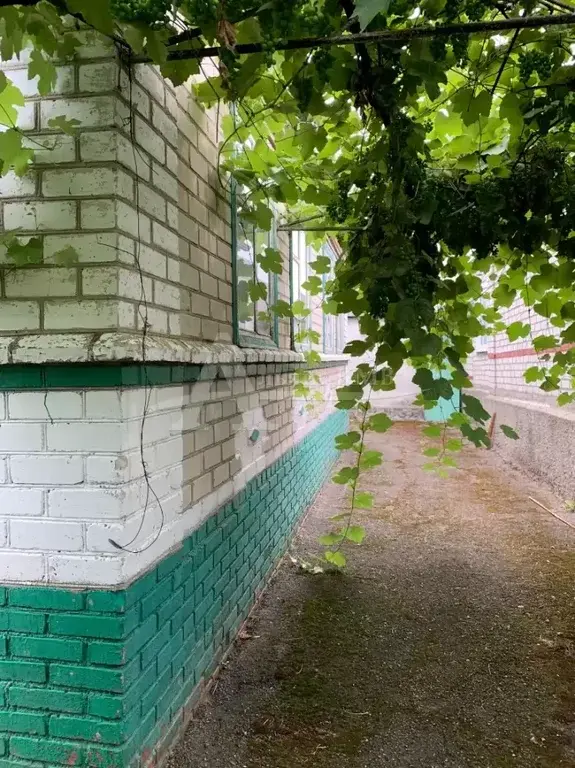 Продажа дома, Георгиевск, ул. Широкоподкумская - Фото 3