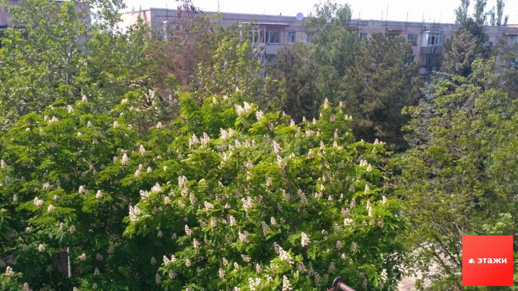 Продажа квартиры, Орехово, Сакский район, 60 лет СССР пр-кт. - Фото 13
