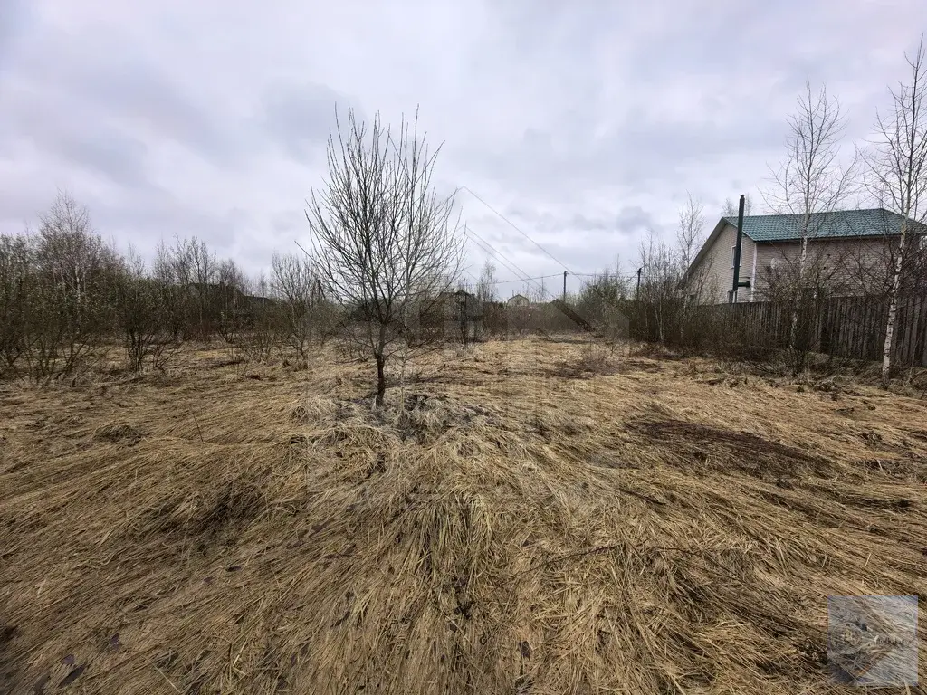 Продается большой участок 22,5 сотки, с. Степановское - Фото 2