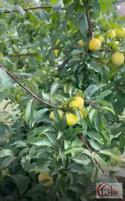 Участок-6 сот. пос. Знаменский, г. Краснодар - Фото 27