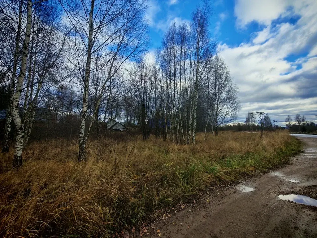 Продается участок 23 сот. ИЖС в д. Шорново - Фото 7