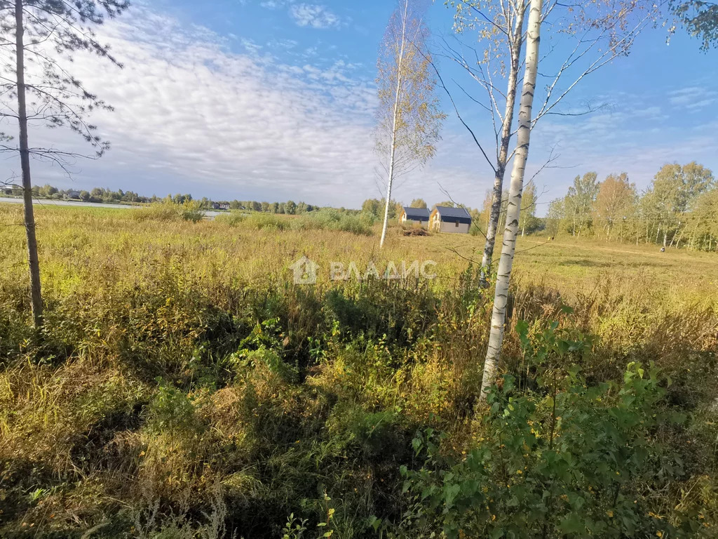 Гусь-Хрустальный район, село Колпь, земля на продажу - Фото 8