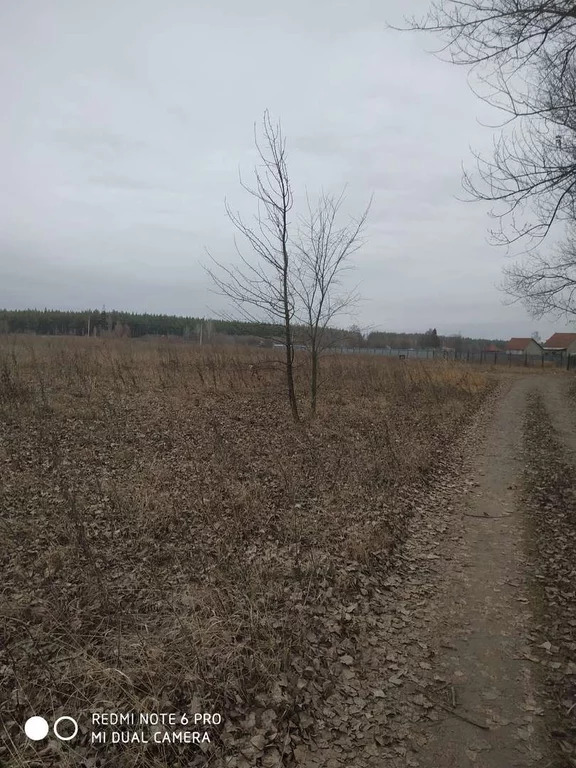 Старый оскол кладбище каплино. Каплино Белгородская область. Владимировка (Старооскольский городской округ). Ветеринарный врач село Каплино Старооскольский район. Каплино старый Оскол.