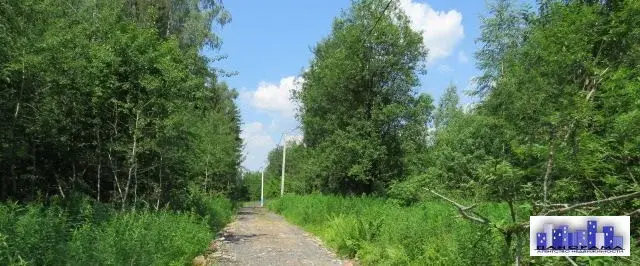 Участок 12 соток в д. Заовражье, СНТ Заовражье. - Фото 5