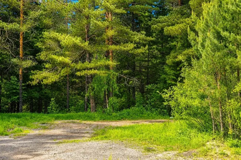 Участок на р. Куказар - Фото 12