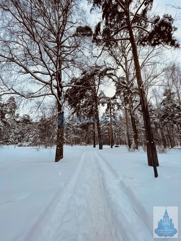 Продажа квартиры, м. Царицыно, Весёлая ул. - Фото 28