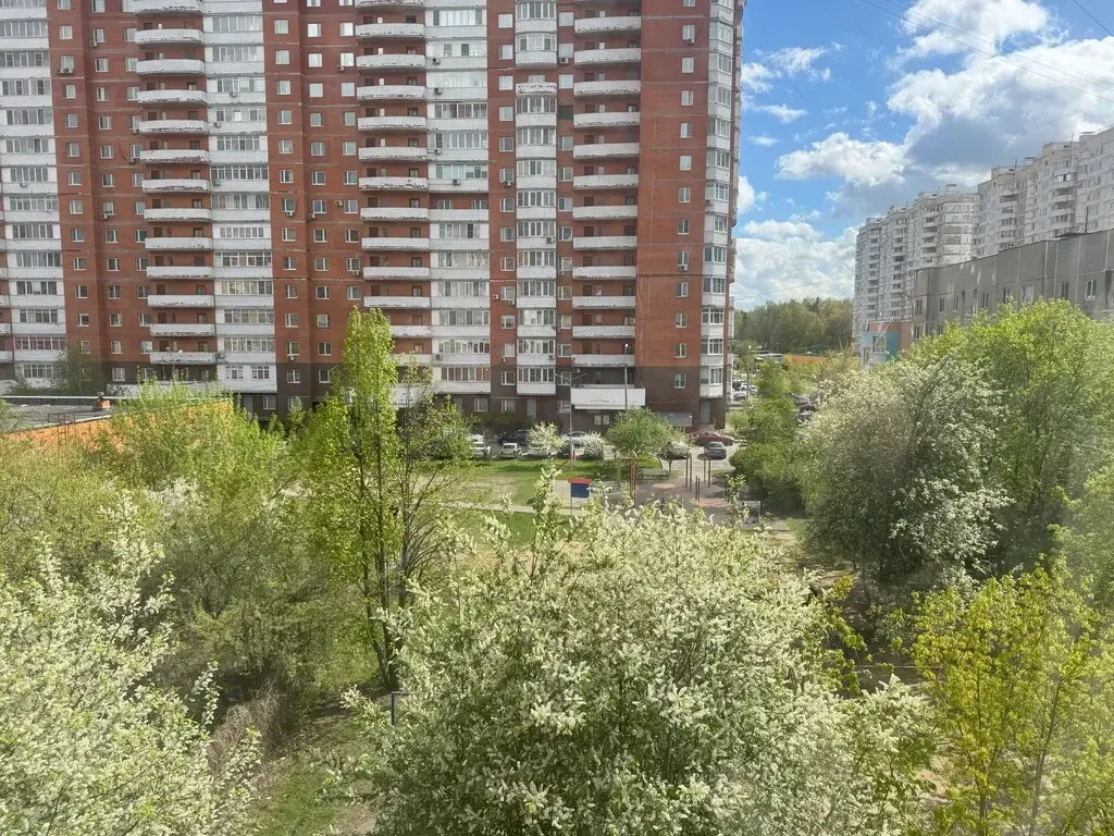 Продам 1 ком. квартиру в пос. Октябрьский (Люберцы) - Фото 9