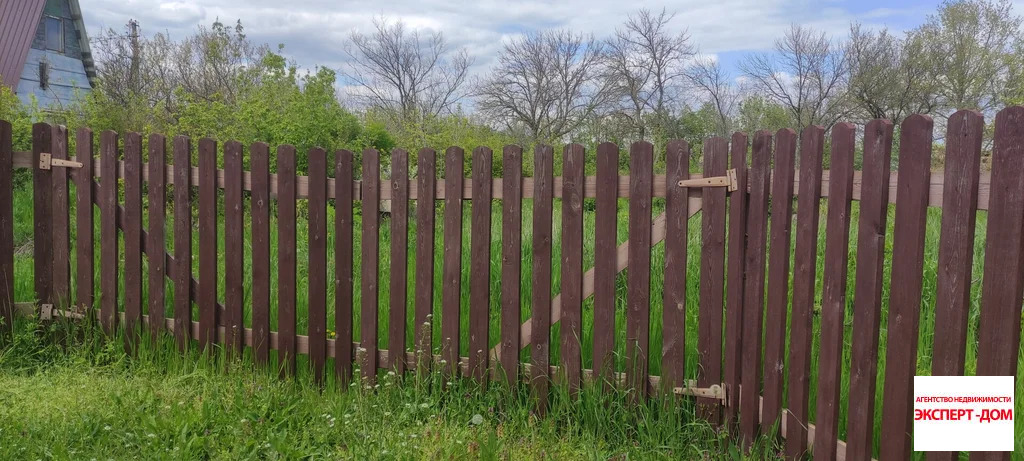 Продажа участка, Мержаново, Неклиновский район, Голубые ели сад - Фото 17