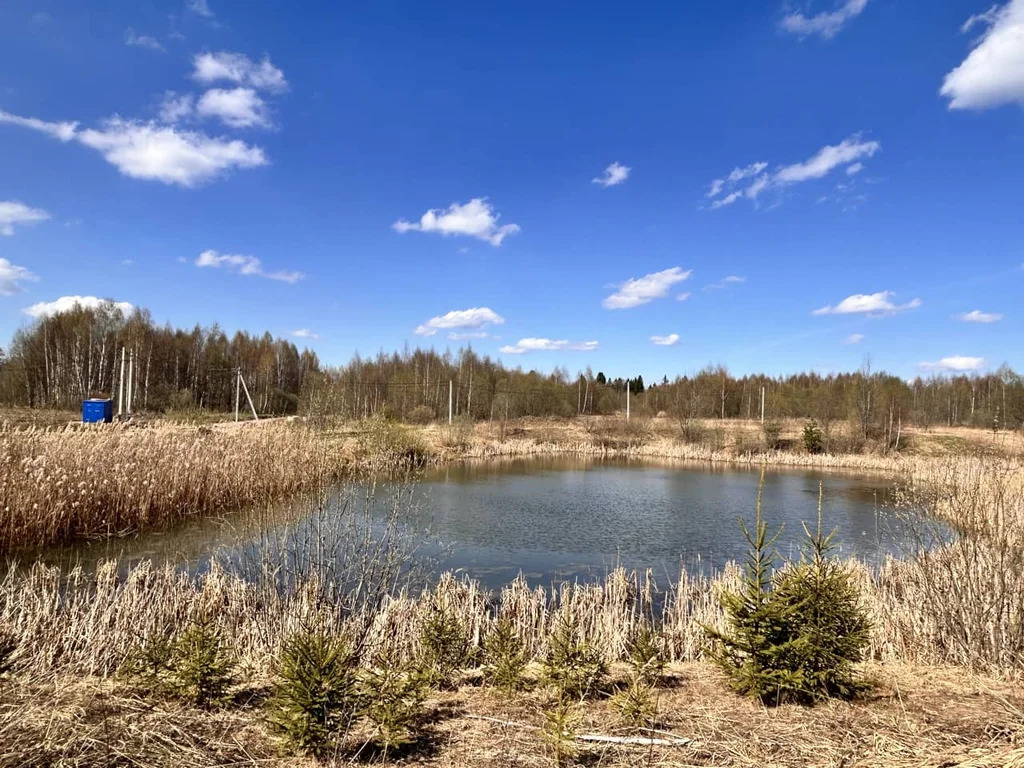 Продажа участка, Дмитровский район - Фото 10