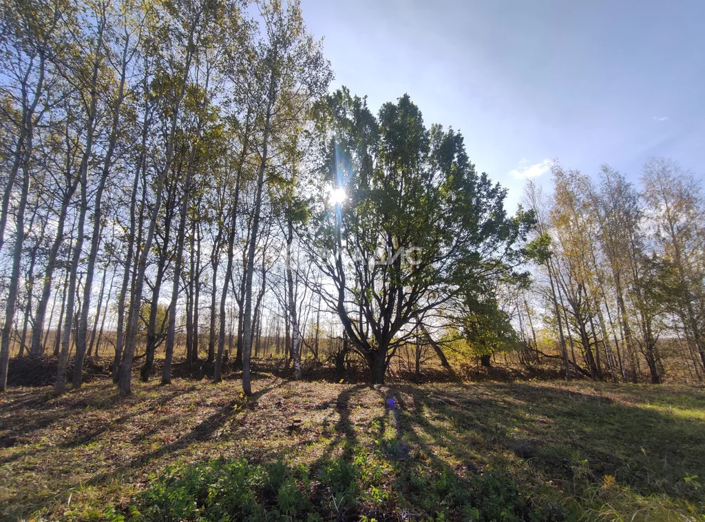 городской округ Владимир, село Мосино, Ленинский район, Хлебодарная ... - Фото 3