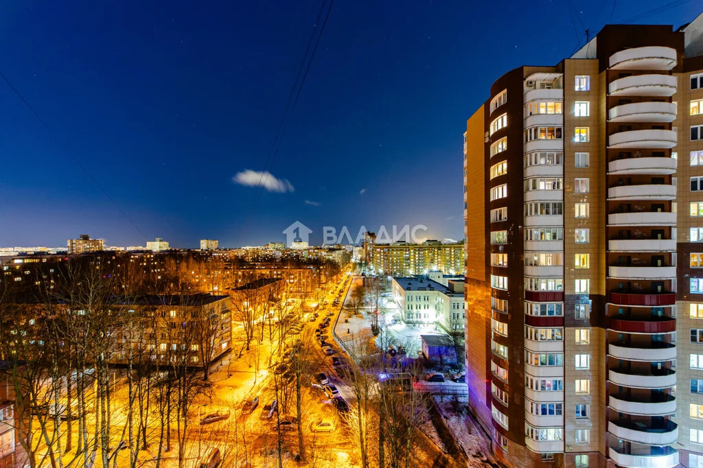 Санкт-Петербург, улица Вавиловых, д.9к4, 1-комнатная квартира на ... - Фото 14