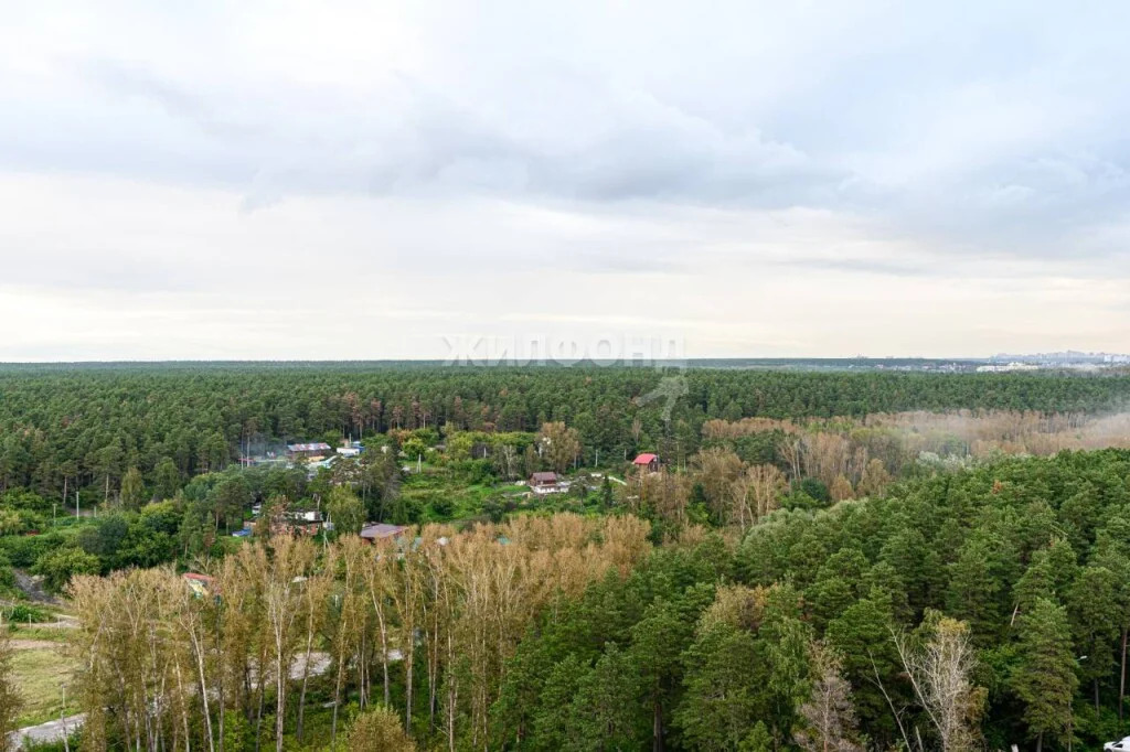 Продажа квартиры, Новосибирск, ул. Сухарная - Фото 8